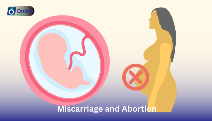 Lesson 08: Relationship Between Miscarriage and Abortion